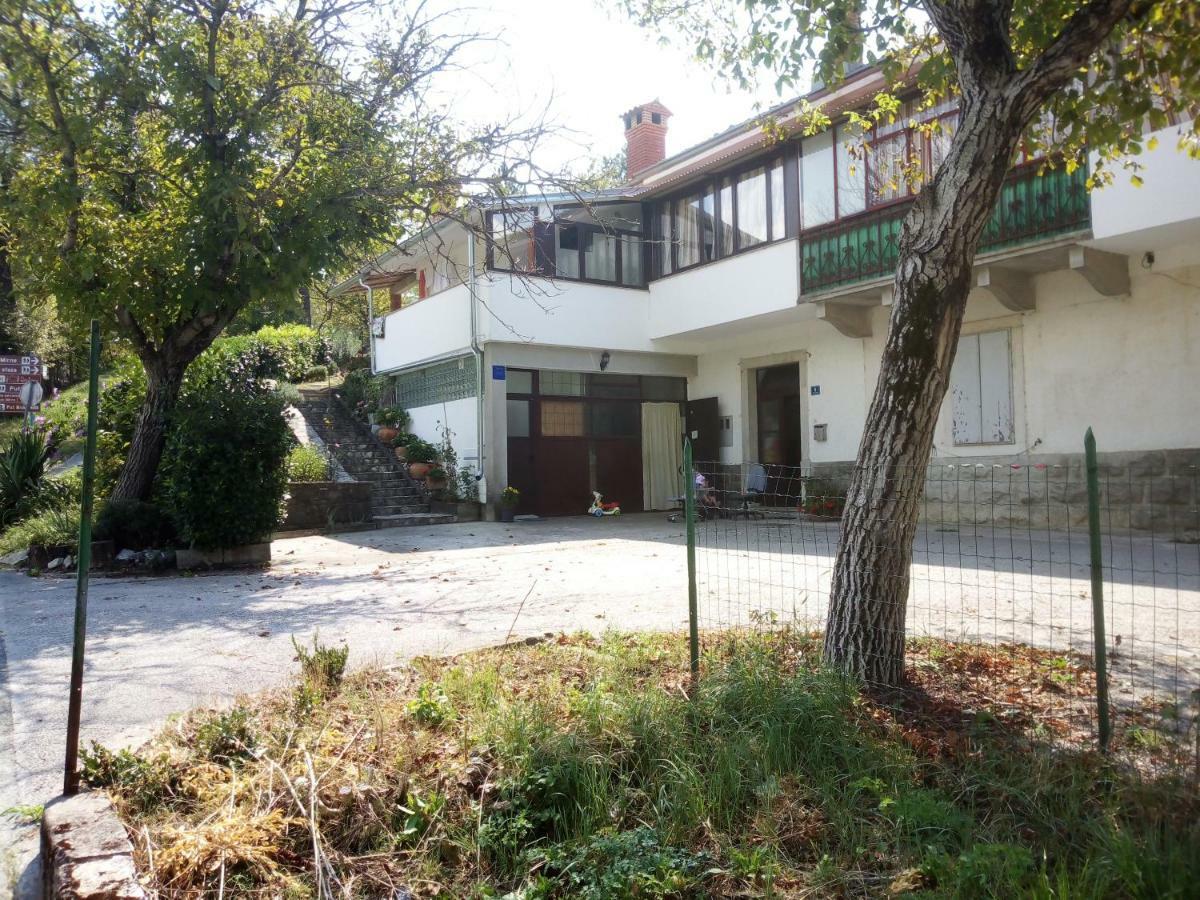 Studio Apartman Bari Buzet Bagian luar foto